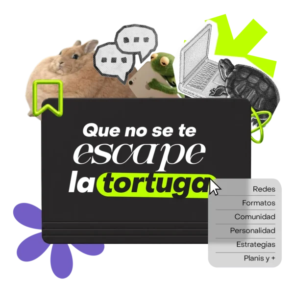 Que no se te escape la tortuga — curso de redes sociales